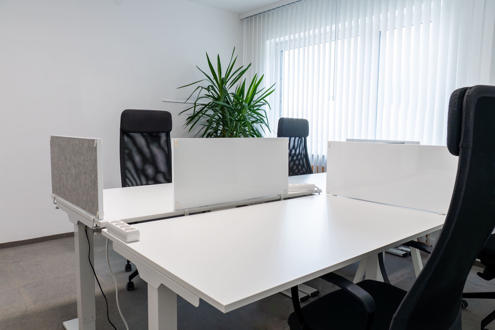 Blick in den lichtdurchfluteten Coworking-Raum mit Pflanzen